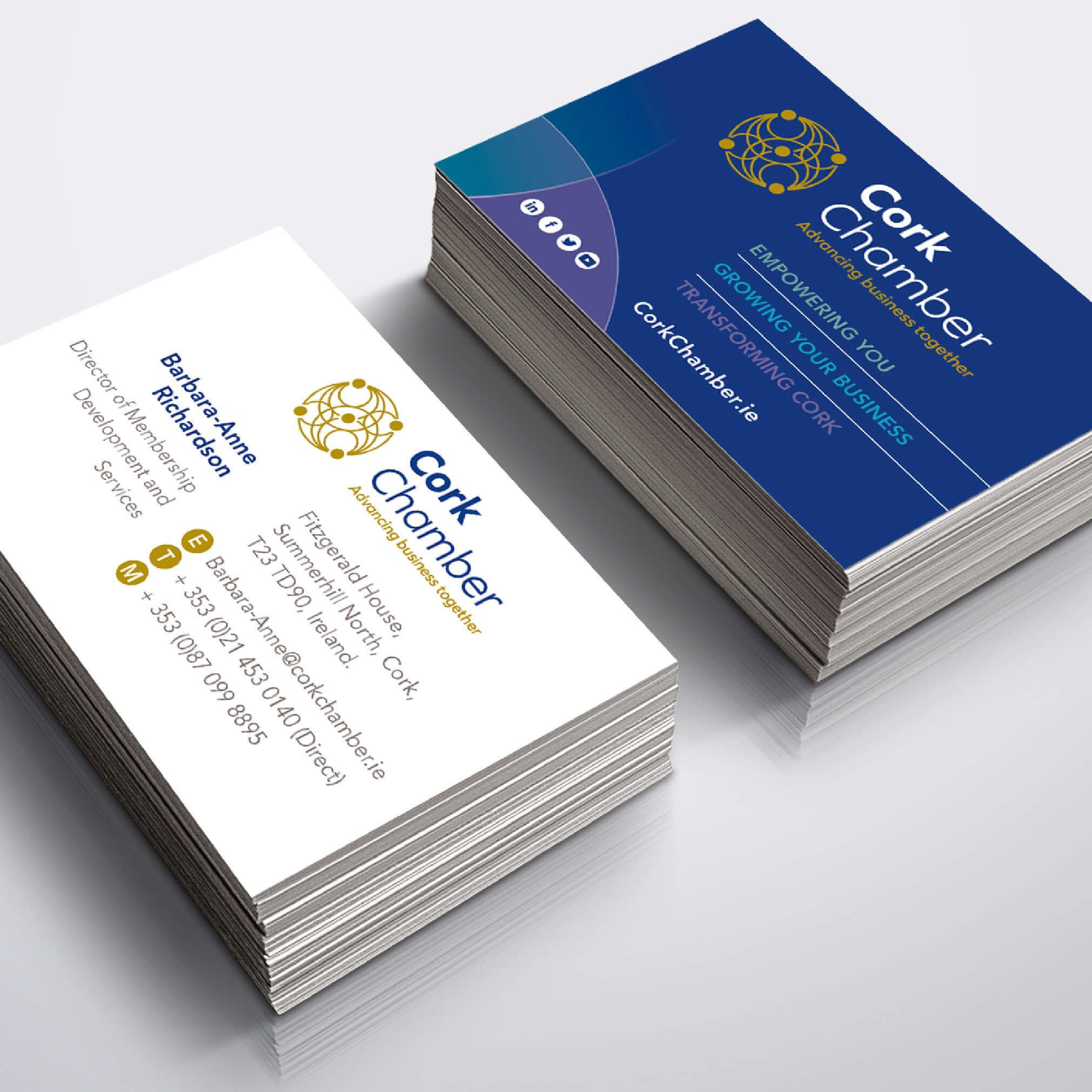 Cork Chamber Design Work Sample 9